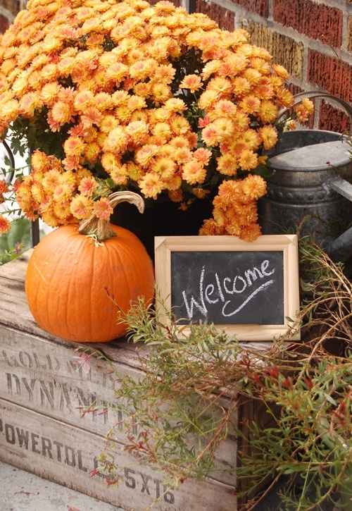 Welcome autumn Welcome autumn