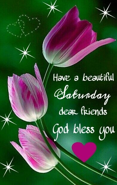 Have a beautiful Saturday