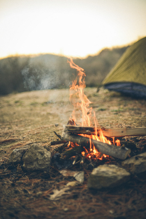 Firewood