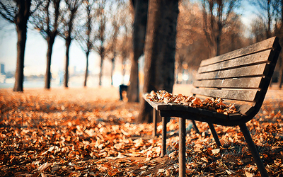 Autumn in the park