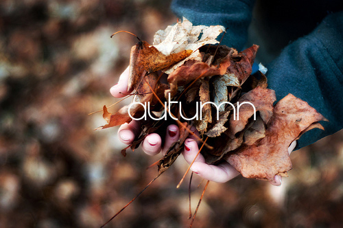 Autumn Autumn