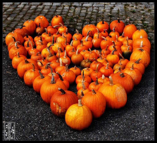 Pumpkin heart Pumpkin heart