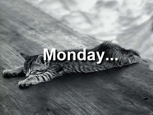 Monday Monday