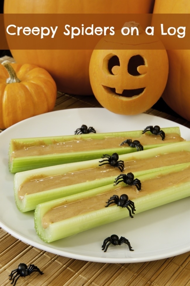 Spiders on a log