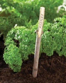 Twig Plant Markers Twig Plant Markers