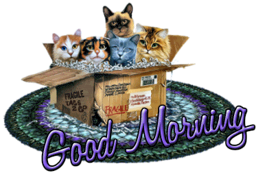 Good Morning