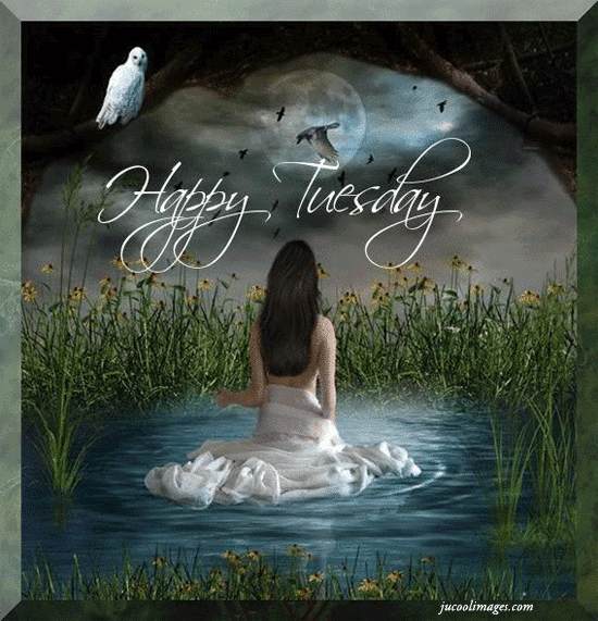 Happy Tuesday Happy Tuesday