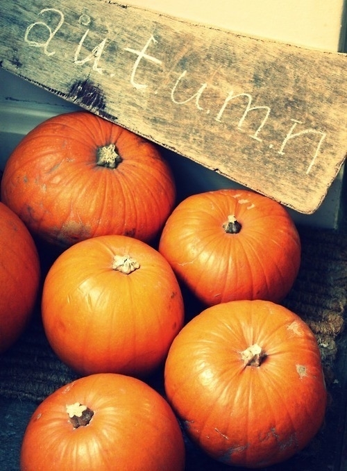 Autumn pumpkins