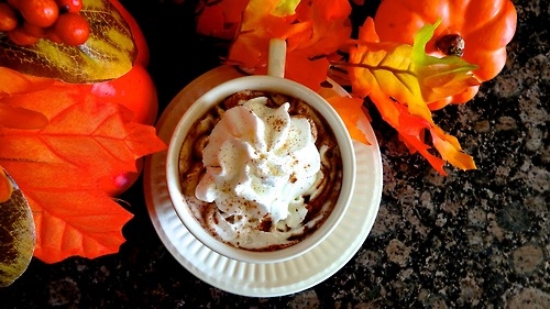 Parisian hot chocolate