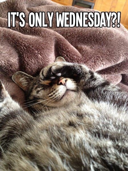 Its only Wednesday