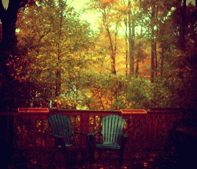 Autumn Beauty