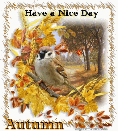 Have a nice day Have a nice day