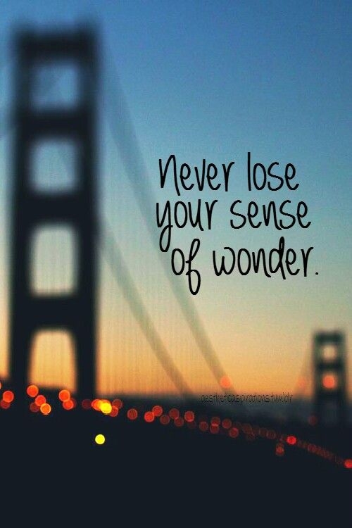 Your sense of wonder