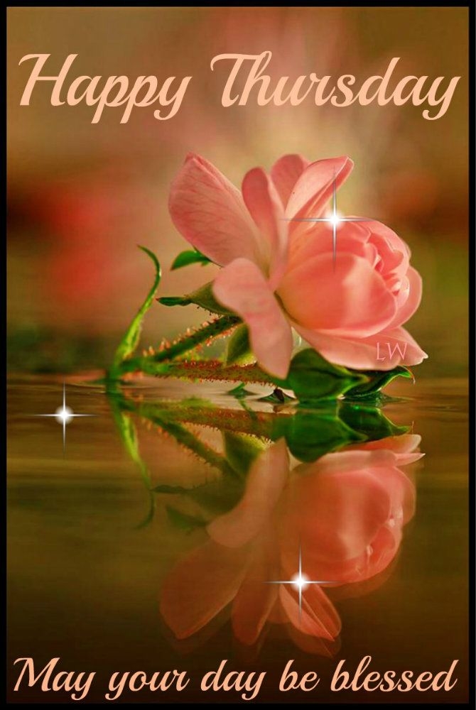 Happy Thursday Happy Thursday
