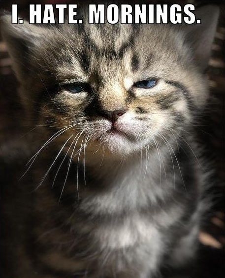 I hate mornings