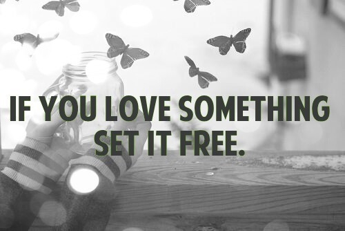 If you love something If you love something