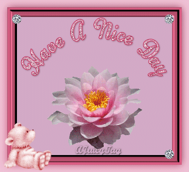 Have a nice day Have a nice day