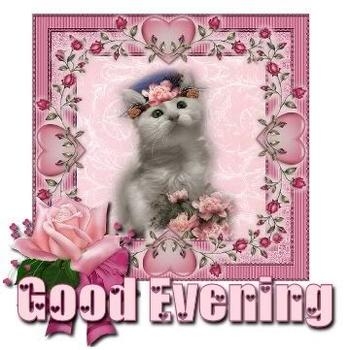 Good Evening