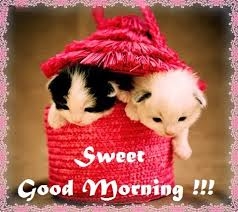 Sweet Good Morning