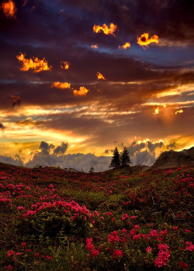 Wonderful colors