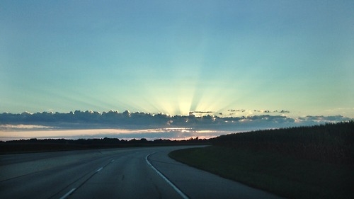 Rays of sun