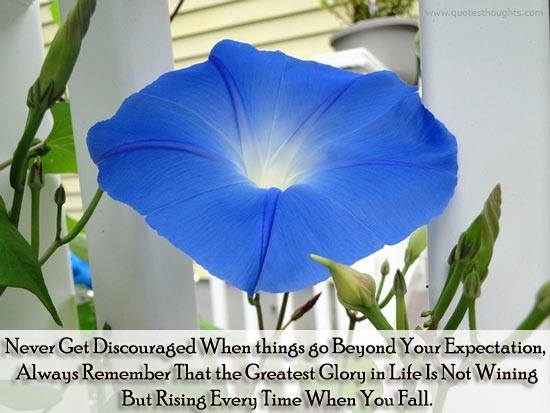 Never get discouraged Never get discouraged