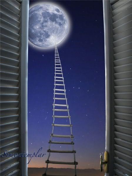 To your dreams To your dreams