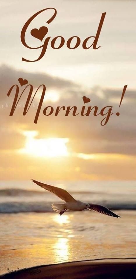Good Morning