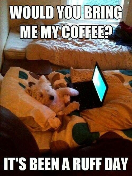 Coffee with you Coffee with you