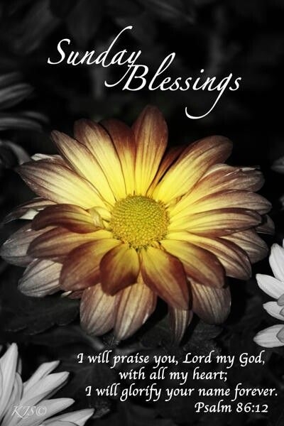 Sunday Blessings