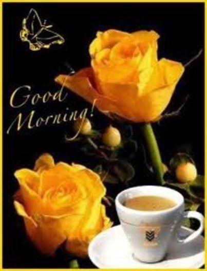 Good Morning