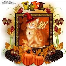Fall Cat Fall Cat