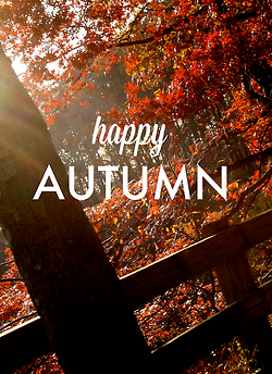 happy autumn happy autumn