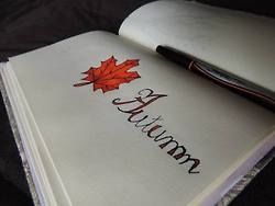 Autumn Autumn
