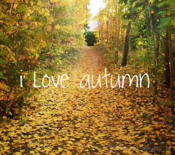 I love autumn I love autumn