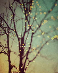Fall lights Fall lights