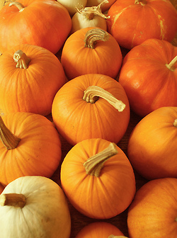 Pumpkins