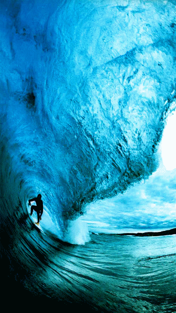 Surfer