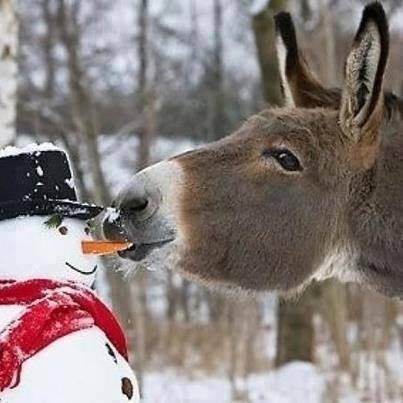 Winter Winter