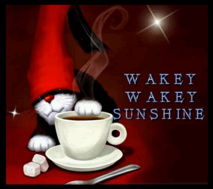 wakey wakey sunshine wakey wakey sunshine