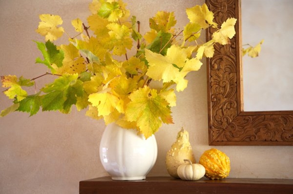 Beautiful Yellow Leaves in a Vase Beautiful Yellow Leaves in a Vase
