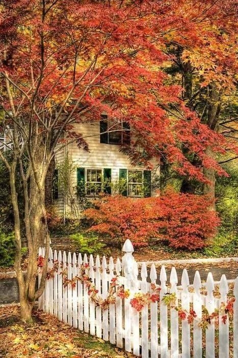 Rich fall colors