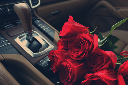 Red Roses