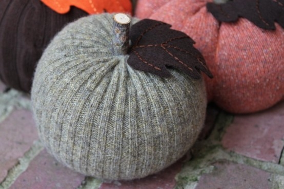 Pumpkin Cozy's