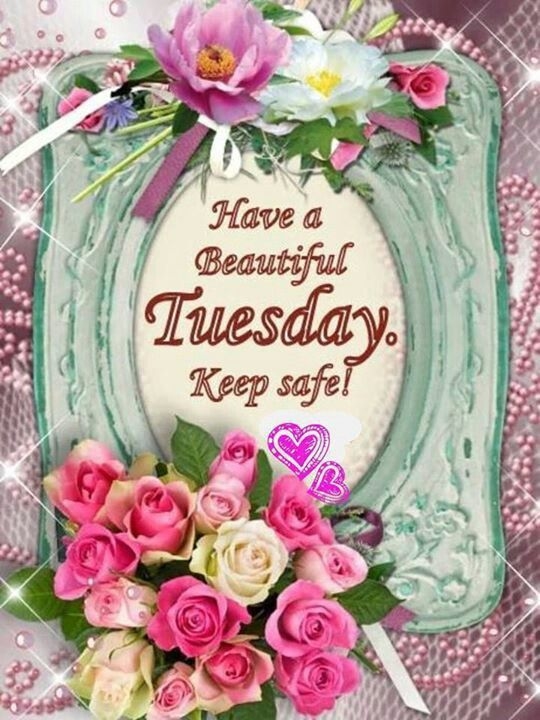 have a beautiful Tuesday