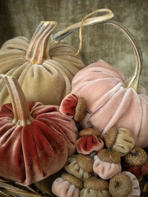 Velvet Pumpkins Velvet Pumpkins