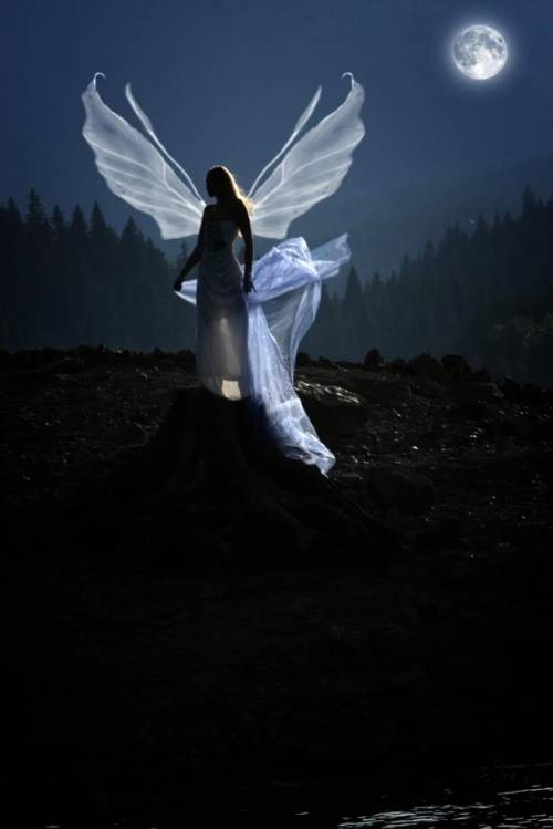Angel Angel