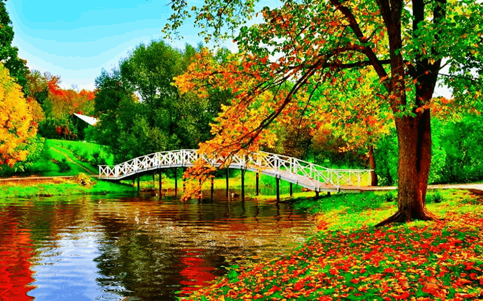 Country Paradise in Autumn