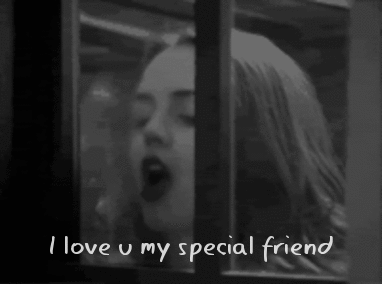 I love you I love you