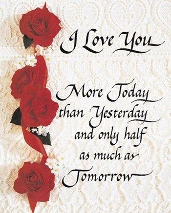I love you I love you